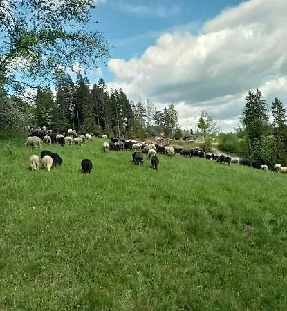 Klimatyczny Domek W Górach Stanleyówka Willa Knurow (Lesser Poland)
