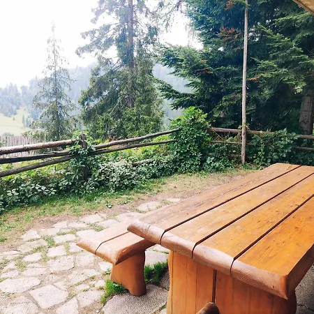 Klimatyczny Domek W Gorach Stanleyowka Villa