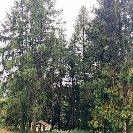 Klimatyczny Domek W Górach Stanleyówka Knurow (Lesser Poland)