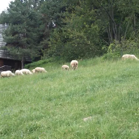 Klimatyczny Domek W Górach Stanleyówka *